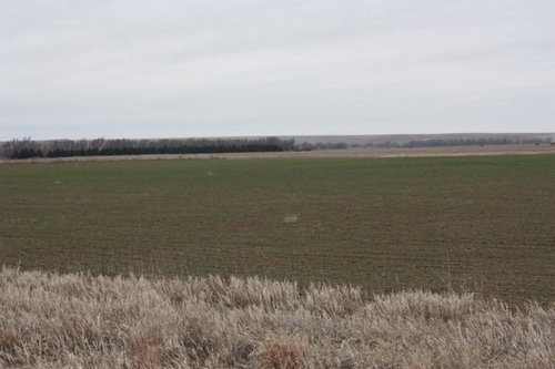 Property photo 40 - Kansas Land Auction - 960 Acres - 7 Farms in 3 Counties
